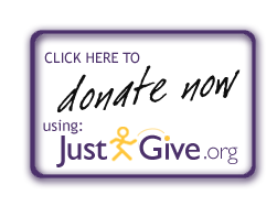 ATICC_donate-button-for-justgive-org